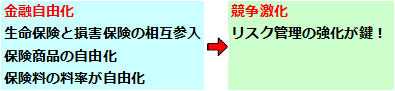 保険会社（3）保険業の自由化