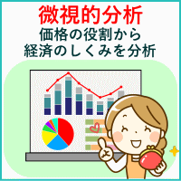 微視的分析